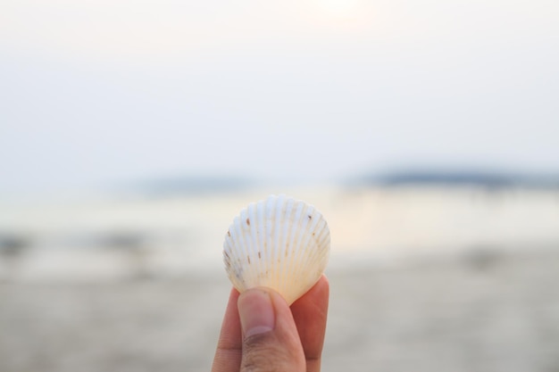 写真 海の背景を手に貝殻を持つ女性