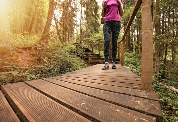 Gambe delle donne che camminano sul sentiero ecologico in legno nella foresta turismo sano attivo all'aperto