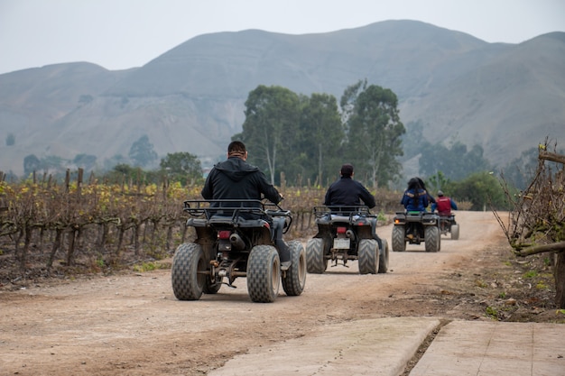Women and men on ATVs are enjoying a ride in a field