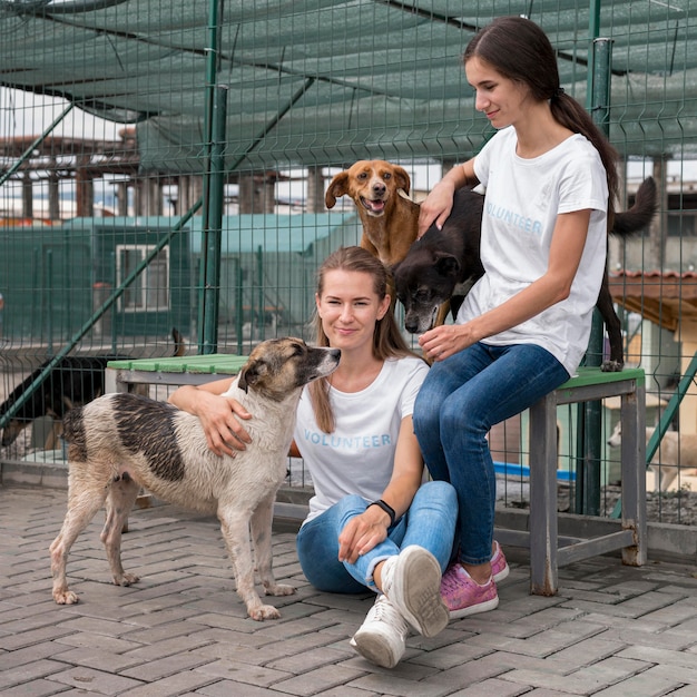 Фото Женщины играют с собаками-спасателями в приюте