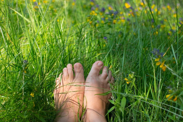 Women's bare feet in the green grass Sunbathing