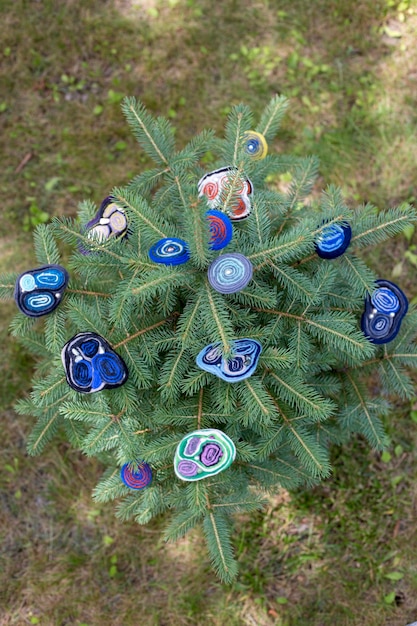 Photo women's brooch of fulled wool on branches of green spruce