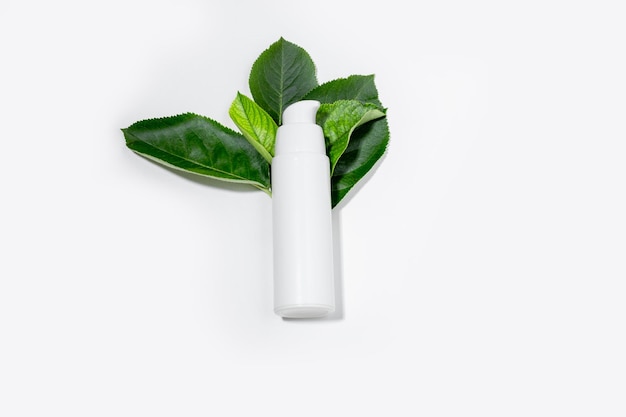 Women's cosmetics with natural ingredients Means for face and body skin care Ecofriendly tube of face cream on a white background with fresh herbs Copy space layout