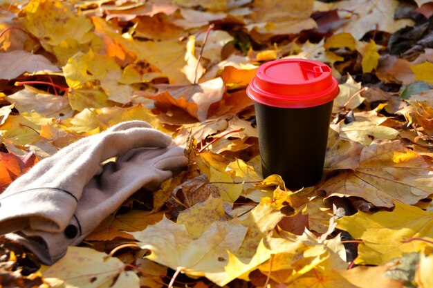 women's gloves and cup of coffee on the ground with dry autumn leaves, close-up
