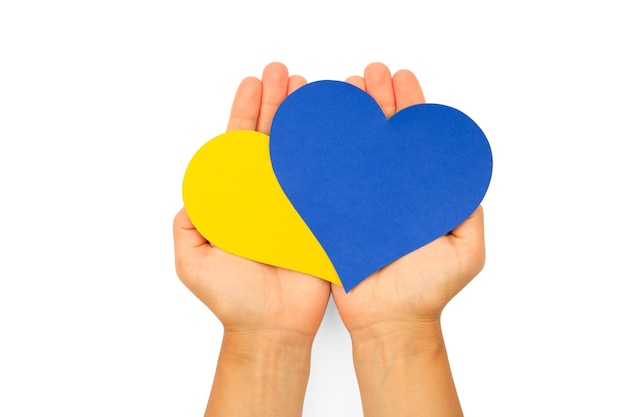 Фото Женские руки держат сердца, вырезанные из бумаги, окрашенные в национальные цвета украины сине-желтый украинский флаг