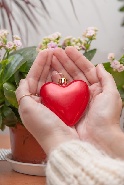 Women's hands holding a red heart concept for valentine's day