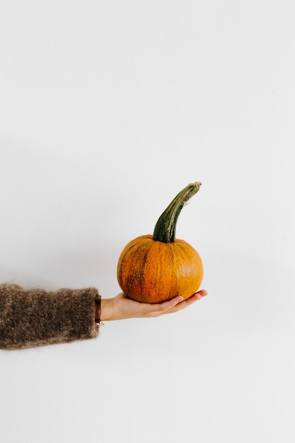 Women's hands in sweater are holding pumpkin