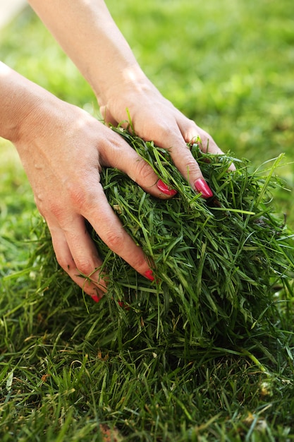 Women's hands take grass