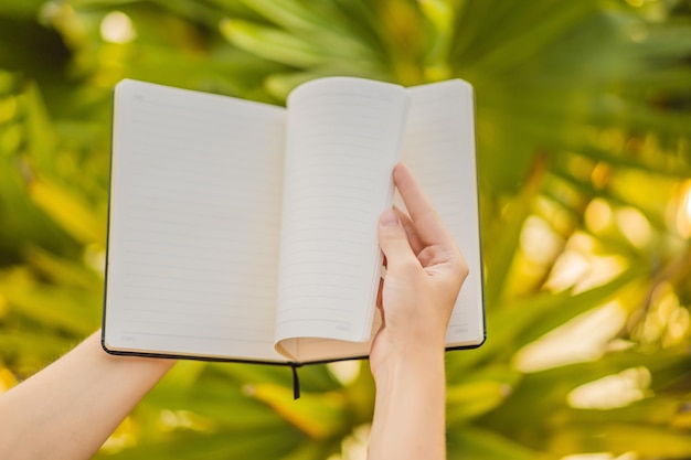 Women's hands in a tropical background holding a signboard drawing block paper mockup