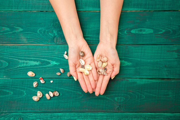 Mani delle donne con una bella manicure e conchiglie