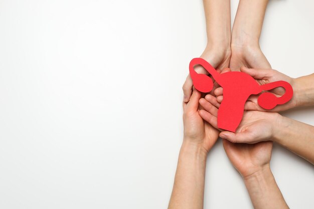 Foto la salute delle donne e il concetto di assistenza sanitaria delle donne con l'utero