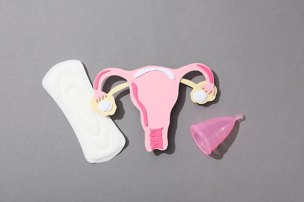 Women's health and women's healthcare concept with uterus