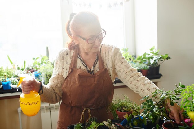 女性の趣味。おばあちゃんは観葉植物の世話をしています