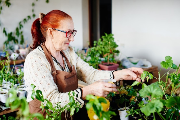 女性の趣味。おばあちゃんは観葉植物や花の世話をし、潮吹きします