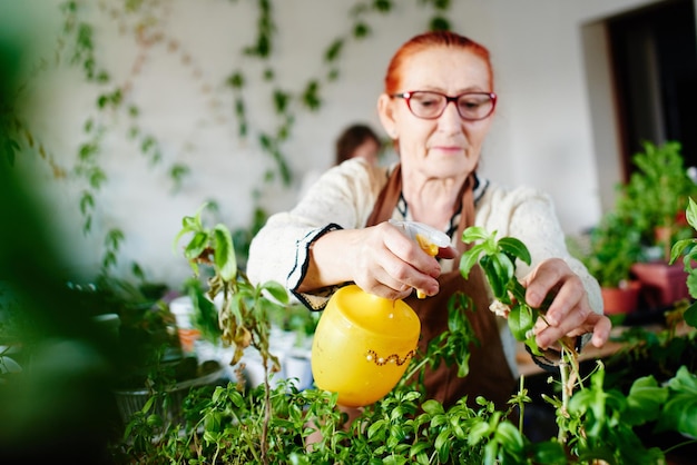 Women's hobby. Granny squirts and takes care of household plants and flowers