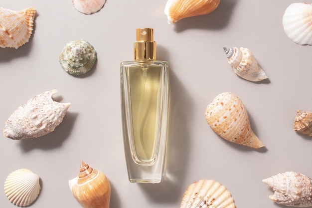 Women's perfume in glass transparent bottle with seashells on a light grey background Concept of expensive perfume and cosmetics