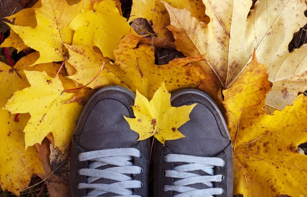 Women's shoes in yellow leaves. Top view