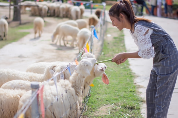 動物を見るために旅行する女性