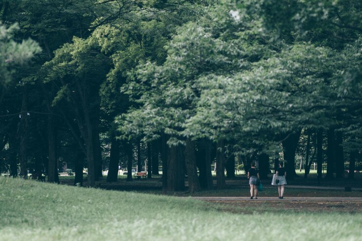 Photo 공원에서 산책 하는 여자 들