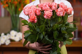 Roses photos
