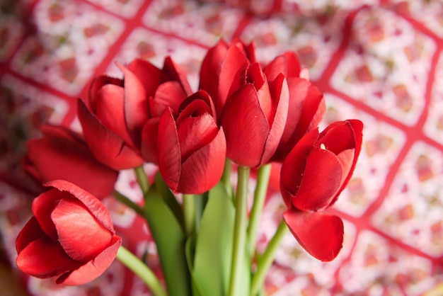 Womens hand met tulpenbloem close-up