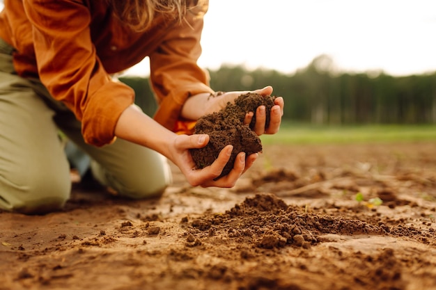 Womens hands sort through black soil in field A woman farmer checks quality of the soil Ecology