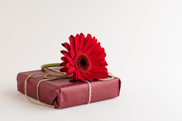 Le cose delle donne su uno sfondo bianco l'oggetto principale è il fiore rosso della gerbera