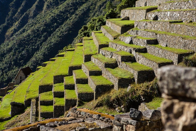 Wonder of the World Machu Picchu in Peru