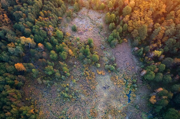 Wonderful autumn landscape in the mountains at dawn. Drone view of the autumn forest and low clouds.