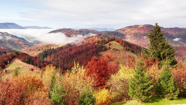 美しい青い空と雄大な雲のある素晴らしい秋の風景森の夕日美しい秋の季節森の山の夕日オレンジ色スピリチュアリティインスピレーション休暇のコンセプト