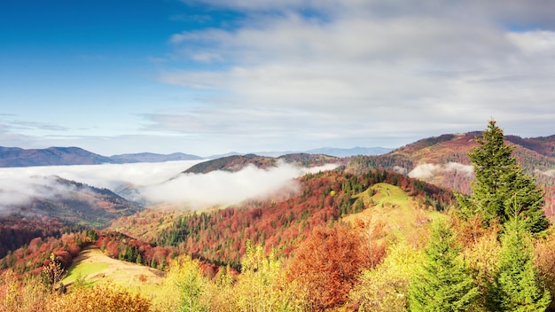 Wonderful autumn landscape with beautiful blue sky and majestic\
clouds forest sunset beautiful fall season forest mountain sunset\
orange colors spirituality inspiration vacation concept