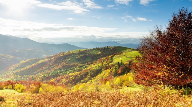 Wonderful autumn landscape with beautiful blue sky and majestic\
clouds forest sunset beautiful fall season forest mountain sunset\
orange colors spirituality inspiration vacation concept