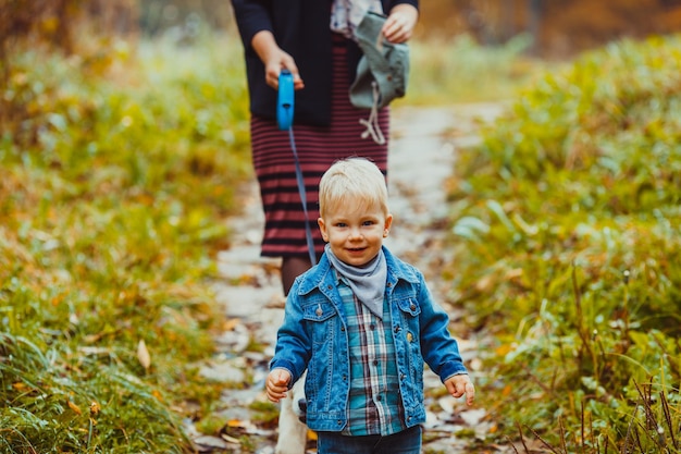 Wonderful autumn walk