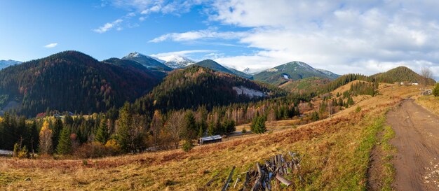 wonderful beautiful landscape with mountains forest and meadow with trees in carpathian mountains ukraine