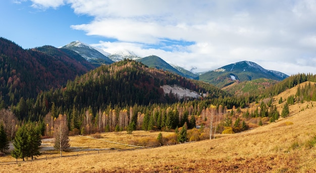 Wonderful beautiful landscape with mountains forest and meadow with trees in Carpathian mountains Ukraine