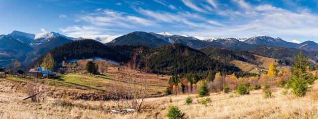 Photo wonderful beautiful landscape with mountains forest and meadow with trees in carpathian mountains ukraine