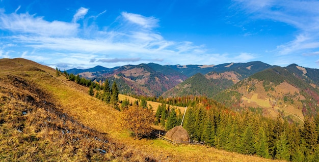 カルパティア山脈ウクライナの山々の森と木々のある牧草地のある素晴らしい美しい風景