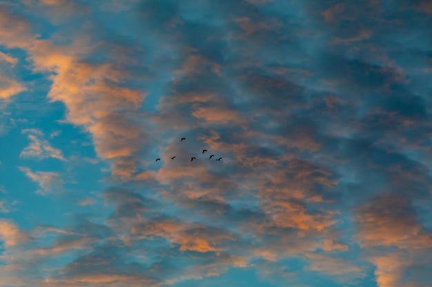 Wonderful colorful idyllic surreal sky at dawn