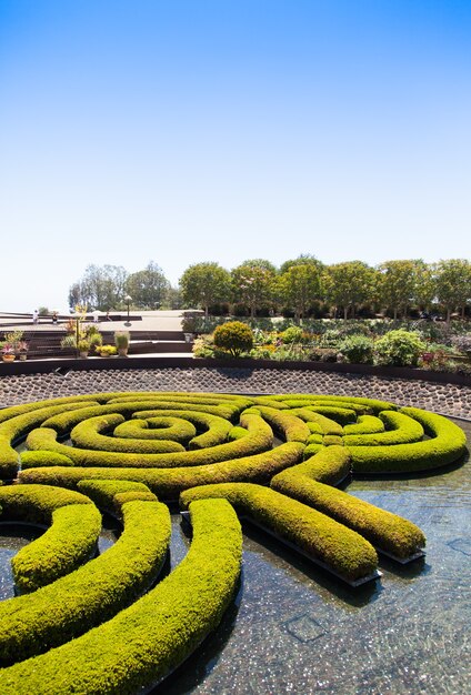 Wonderful garden maze during a sunny day