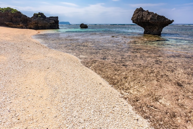 Wonderful line at the seashore made of dead coral and a rock platform