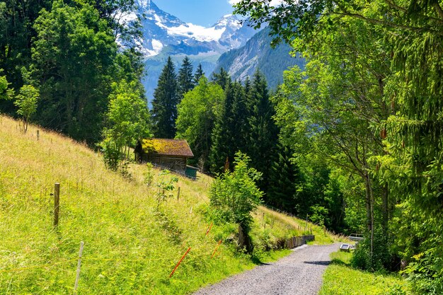 スイス、ベルナーオーバーラントの素晴らしい山岳車のない村ヴェンゲン。ユングフラウが背景に見える