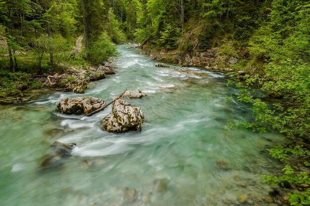 wonderful mountain landscape with fast flowing torrent and green forest