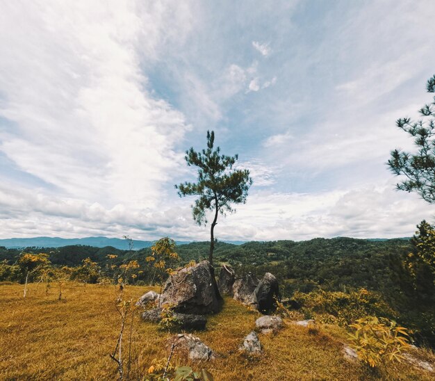 写真 素晴らしい山の景色。白い雲と青い空。真ん中に松の木と岩。