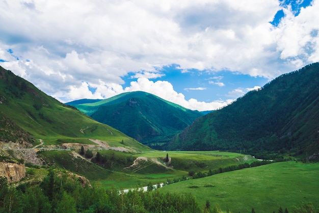 Wonderful mountains with forest cover in sunny day.