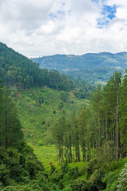 Wonderful natural landscape. Green hilly valley.