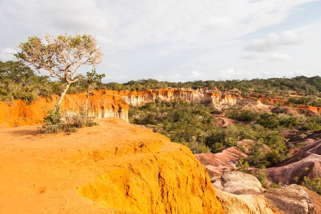 Wonderful orange colors at sunset in Marafa Canyon - also said The Hell's Kitchen. Malindi region, Kenya