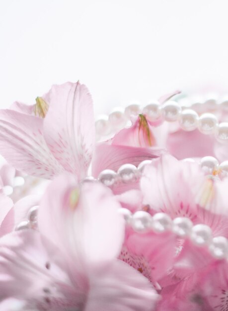 Wonderful pearl jewellery