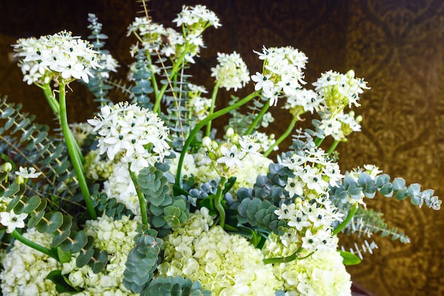 屋内に小さな白い花が咲く素晴らしい植物