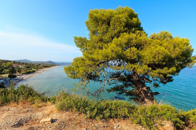 그리스 할키디키 시토니아(Sithonia)에 있는 에게 해(Aegean Sea)의 멋진 모래 해변.