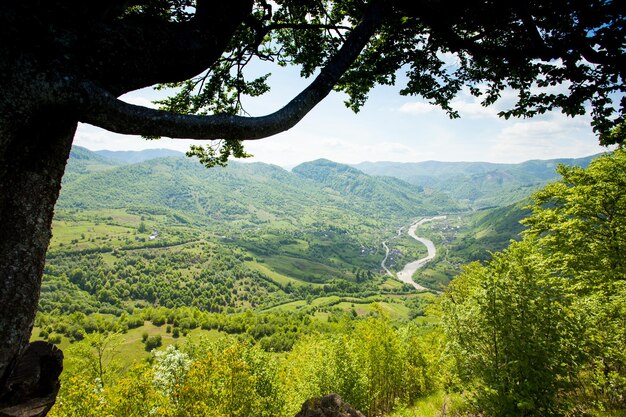 青い曇り空を背景に、緑の木々と息を呑むような山の素晴らしい景色が